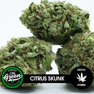 Citrus Skunk B forestcitygreen