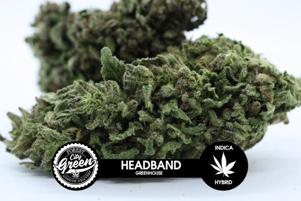 HeadBand Greenhouse buy weed online