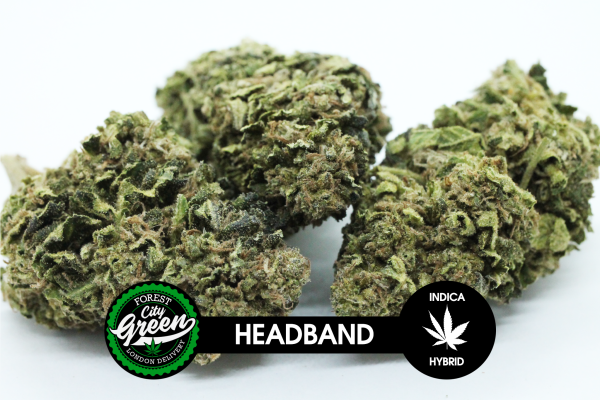 Headband forestcitygreen