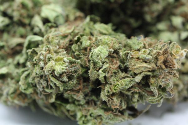 HeadBand Greenhouse buy weed online