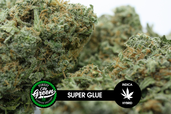 Super Glue forestcitygreen.com