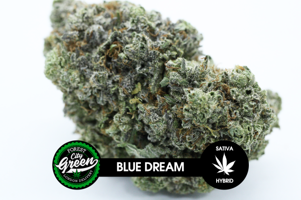Blue Dream forestcitygreen