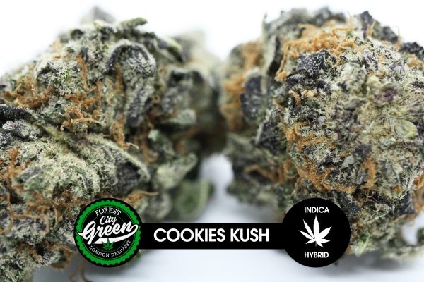 Cookies Kush forestcitygreen
