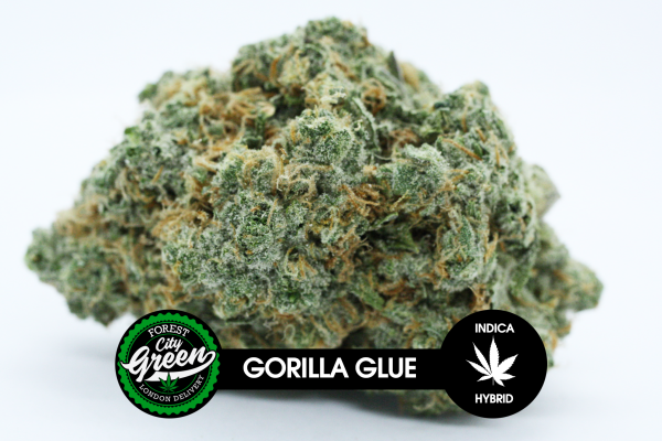 Gorilla Glue forestcitygreen