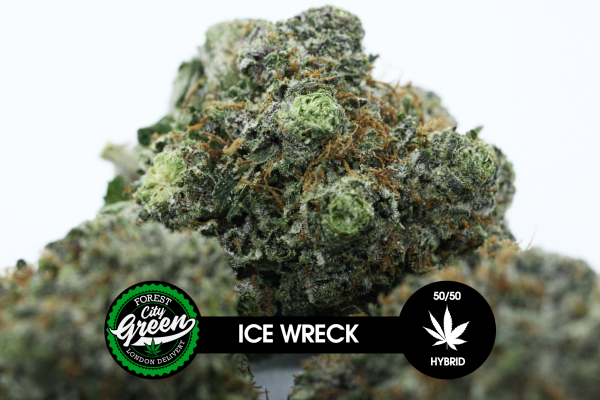 Ice Wreck forestcitygreen