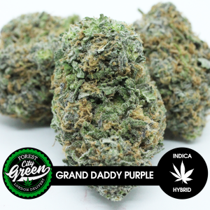 Grand Daddy Purple 2 forestcitygreen
