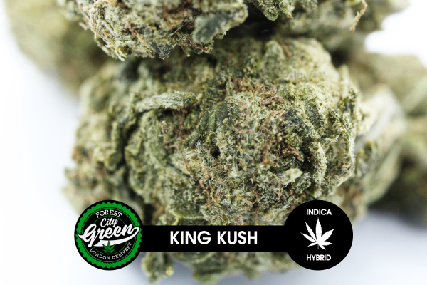 King Kush B forestcitygreen
