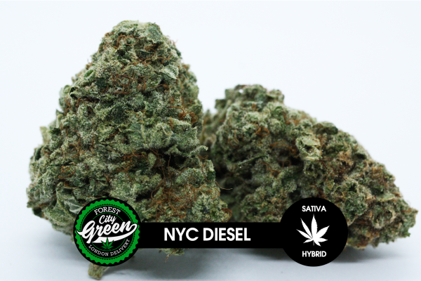 NYC Diesel forestcitygreen