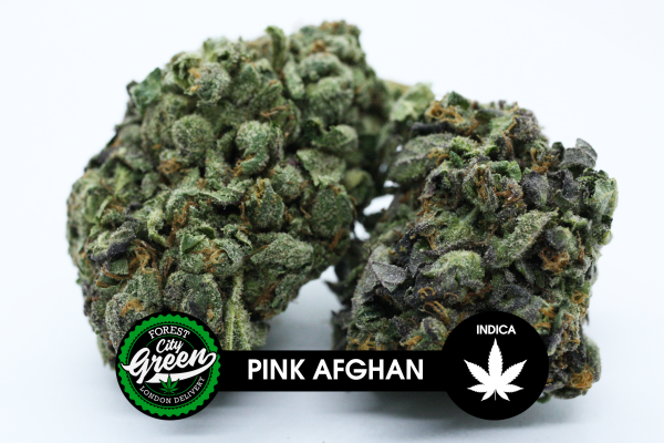 Pink Afghan forestcitygreen