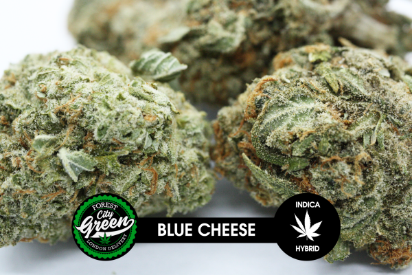 Blue Cheese forestcitygreen