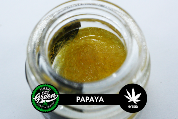 Papaya Terp Sauce (1g) forestcitygreen