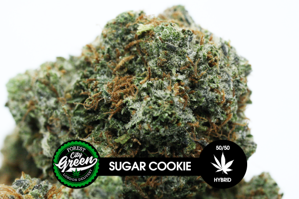 Sugar Cookie forestcitygreen