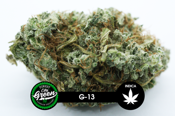 G-13 forestcitygreen