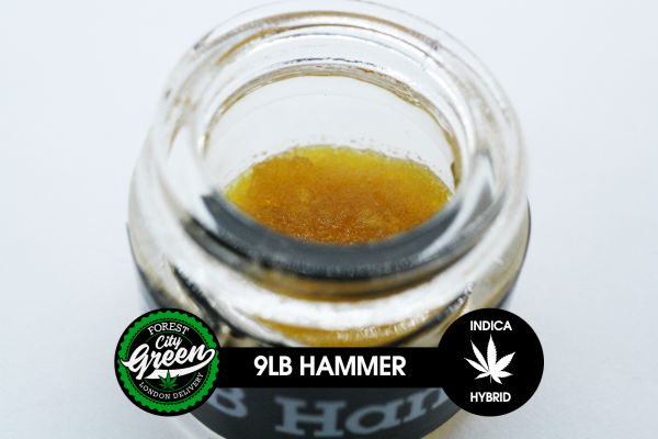 PLB Hammer Terp Sauce (1g) forestcitygreen