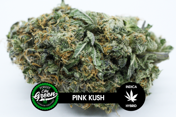 Pink Kush forestcitygreen