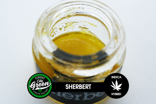 Sherbert Terp Sauce (1g) forestcitygreen