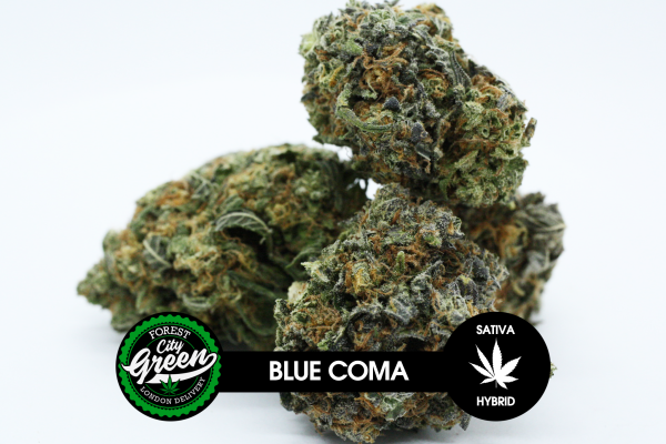 Blue Coma forestcitygreen