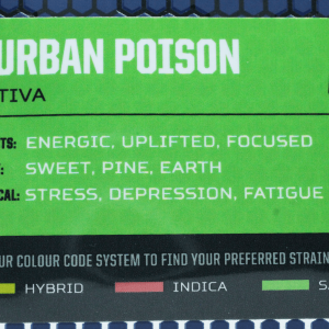 Durban Poison- Buzzed Extracts Shatter - SATIVA 1g