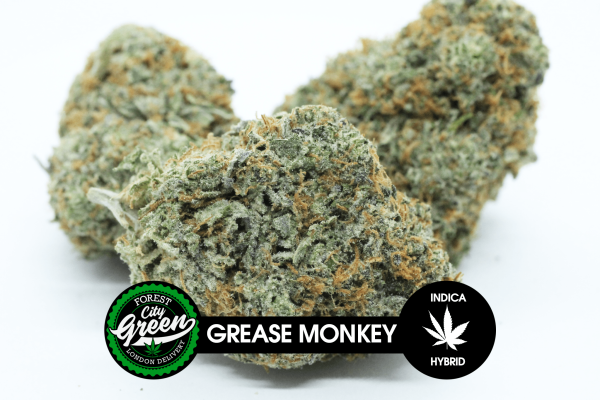 Grease Monkey C forestcitygreen