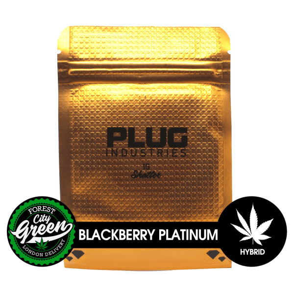 PLUG-Blackberry-Platinum-Shatter