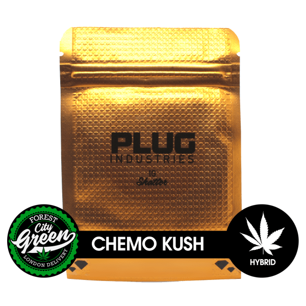 PLUG-Chemo-Kush-Shatter