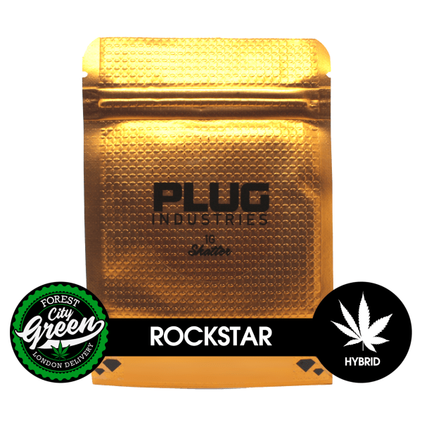 PLUG-Rockstar-Shatter