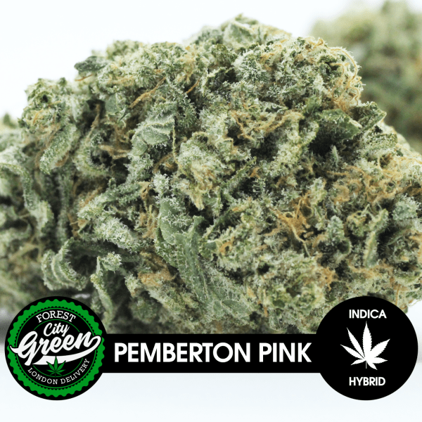 Pemberton Pink forestcitygreen