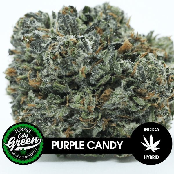 Purple-Candy-B-forestcitygreen