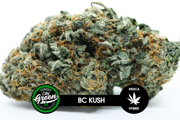 BC Kush forestcitygreen