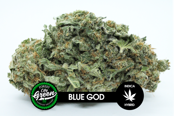 Blue God forestcitygreen