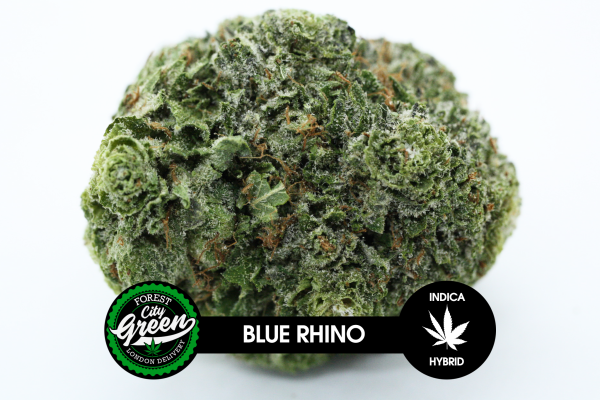 Blue Rhino forestcitygreen
