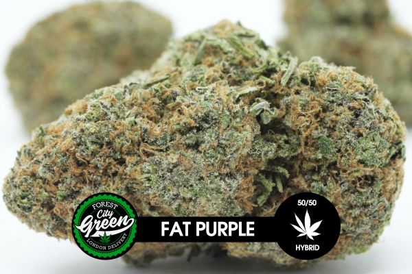 Fat Purple BB forestcitygreen