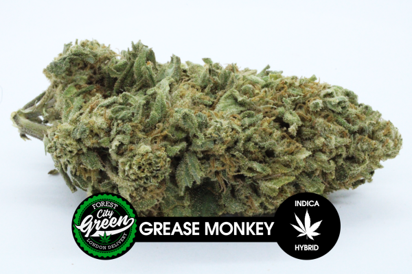 Grease Monkey B forestcitygreen