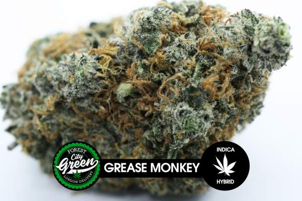 Grease Monkey forestcitygreen