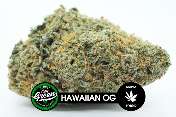 Hawaiian OG forestcitygreen