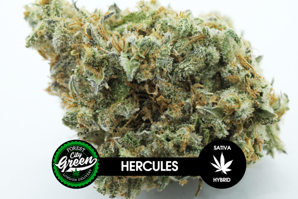 Hercules forestcitygreen