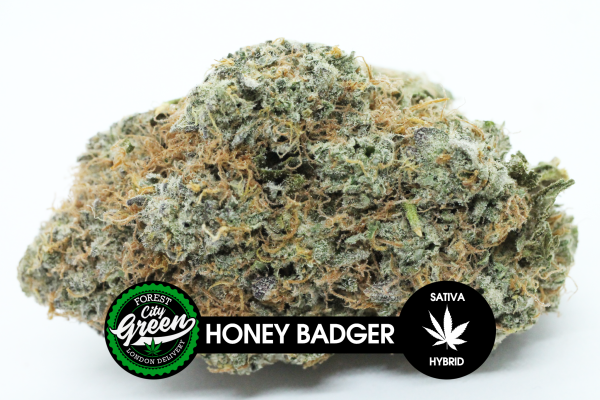 Honey Badger forestcitygreen