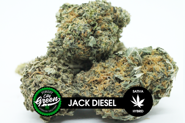 Jack Diesel forestcitygreen