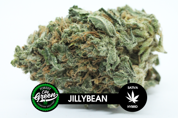 Jillybean forestcitygreen