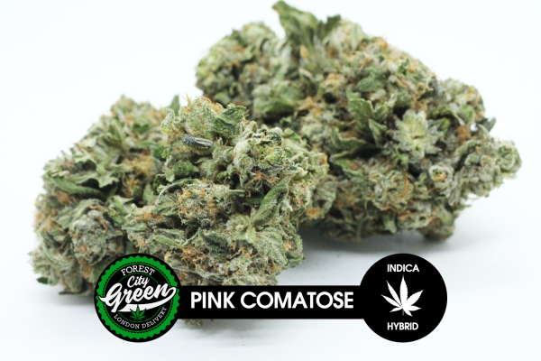 Pink Comatose forestcitygreen