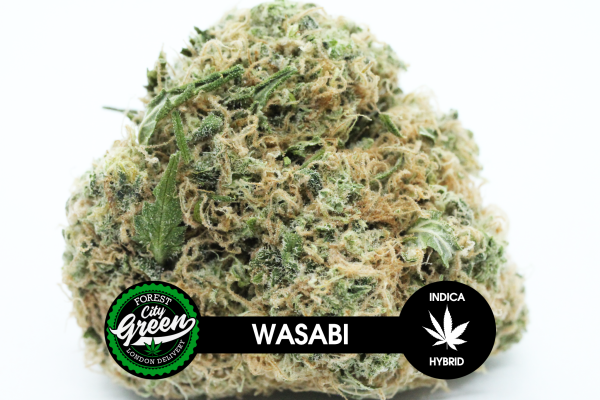 Wasabi forestcitygreen