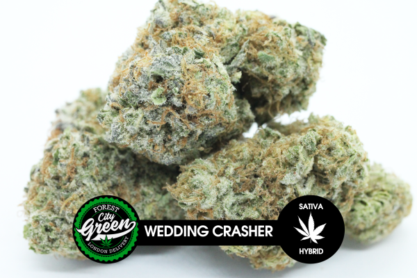 Wedding Crasher forestcitygreen