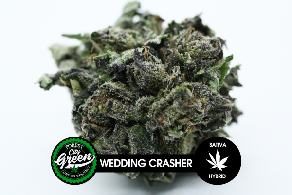 Wedding Crasher forestcitygreen