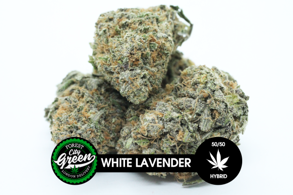 White Lavender forestcitygreen