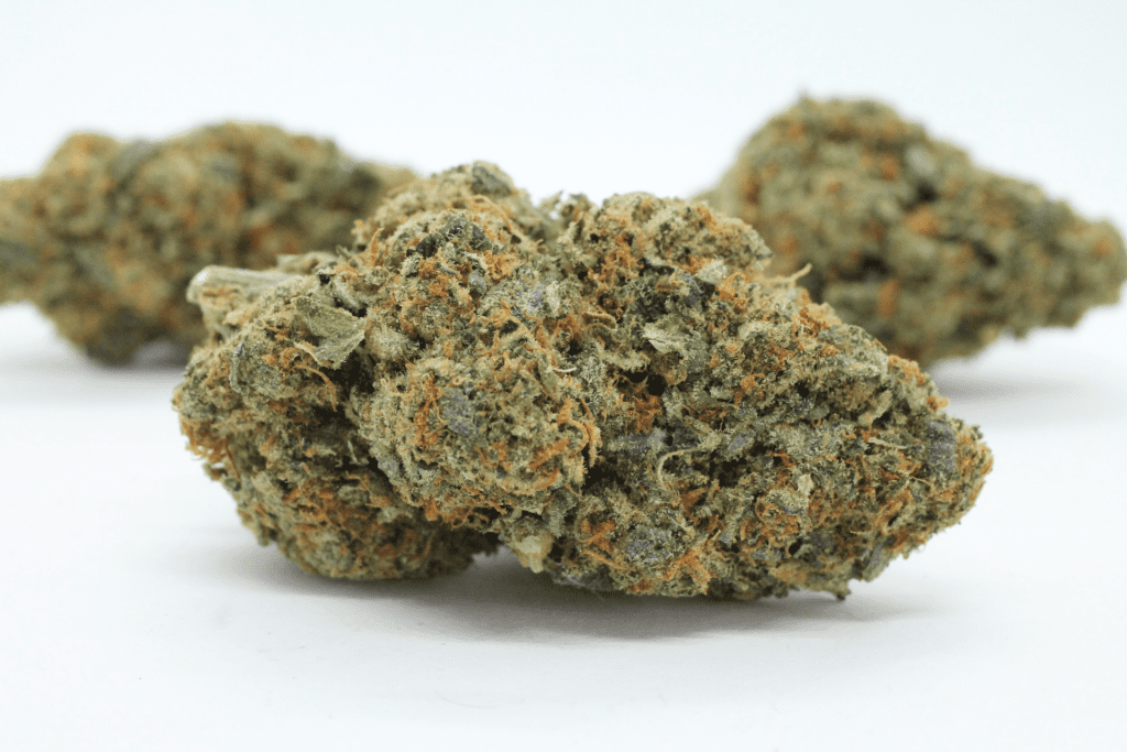Gas Truffle – Forest City Green